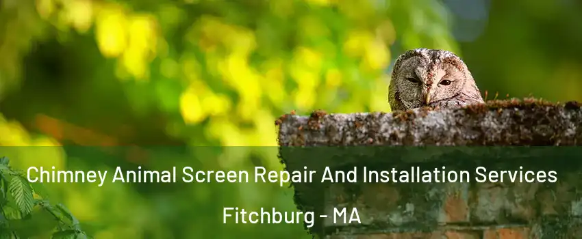  Chimney Animal Screen Repair And Installation Services Fitchburg - MA