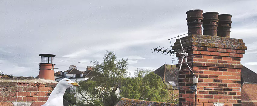 Chimney Cleaning And Restoration in Fitchburg, Massachusetts