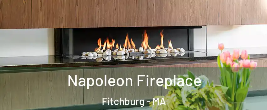  Napoleon Fireplace Fitchburg - MA